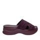 Maroon / 06