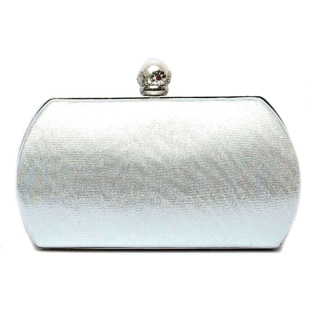 Stylish Clutches For Women 20301304
